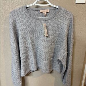 Philosophy Light Gray Knit Top